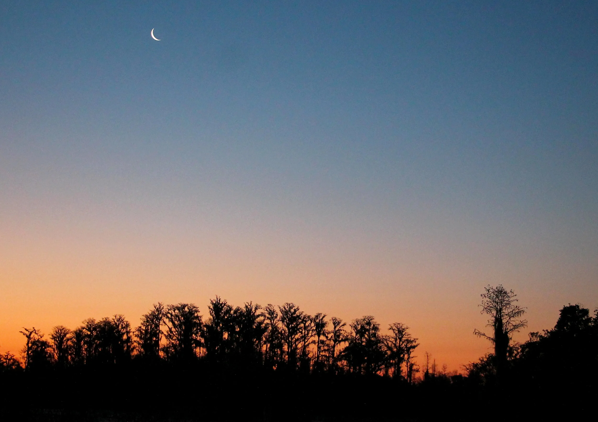 Sunrise, Okefenokee National Wildlife Refuge.