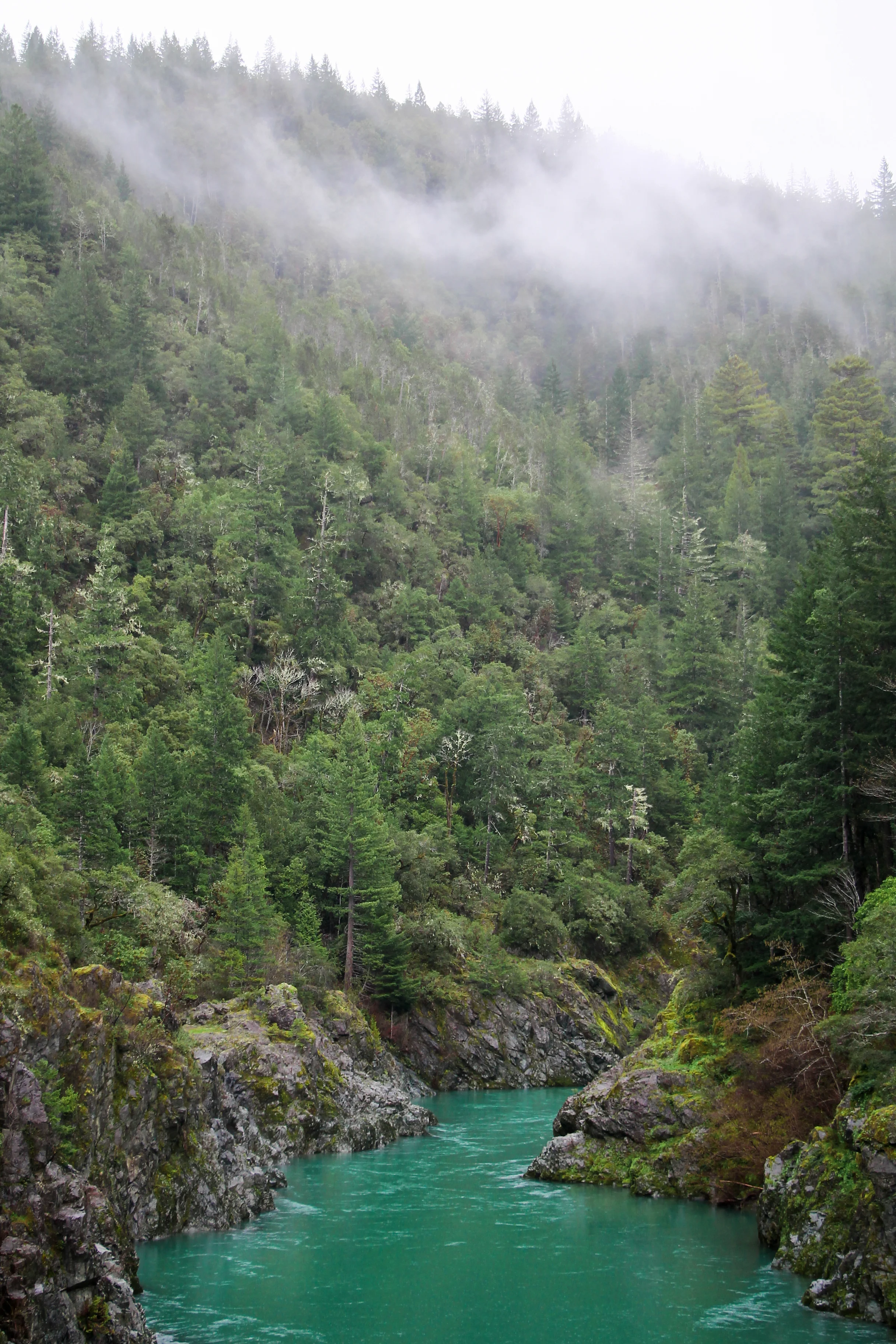 Smith River, Jedidiah Smith Redwoods State Park.