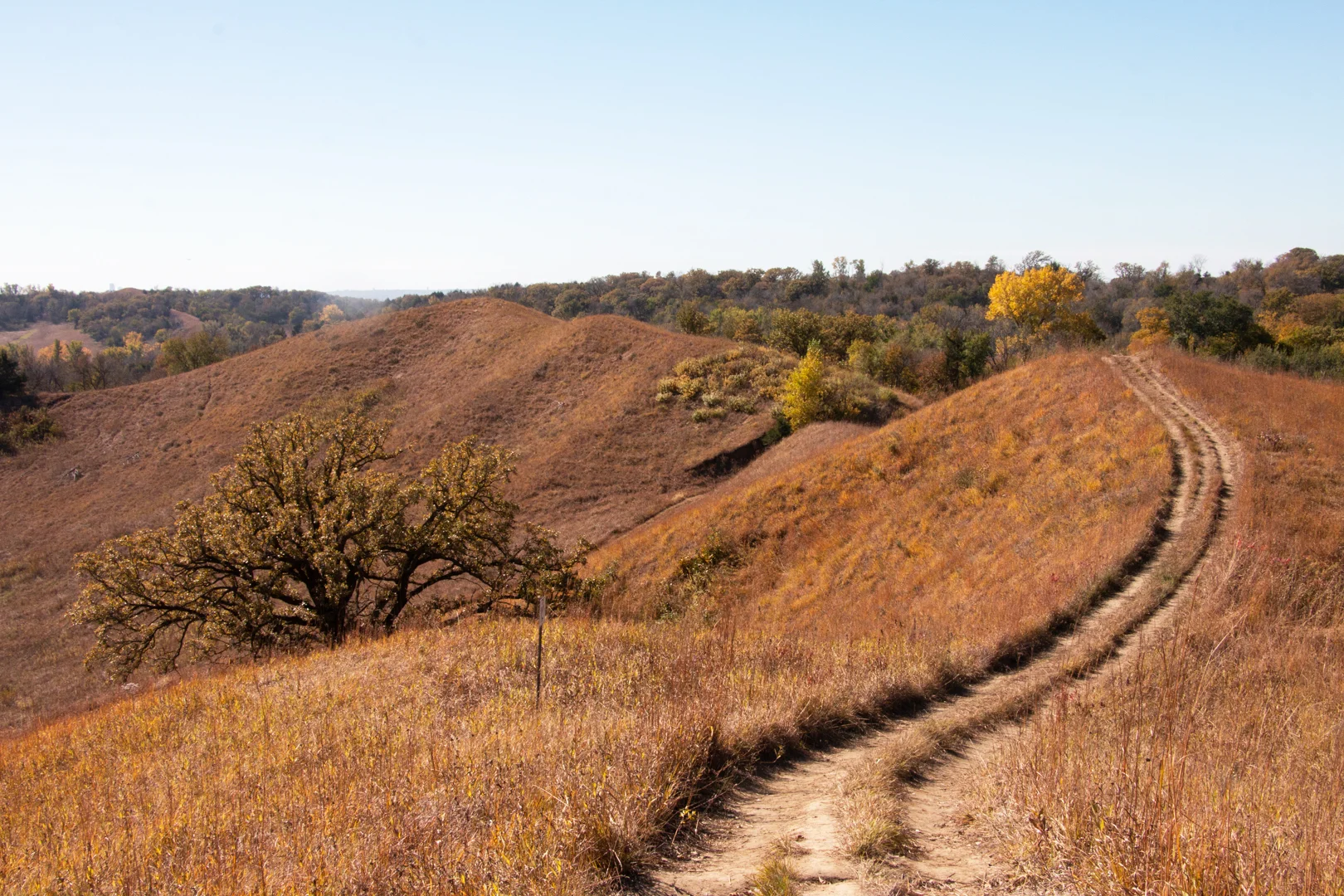 Badger Ridge Trail, Loess Hills.