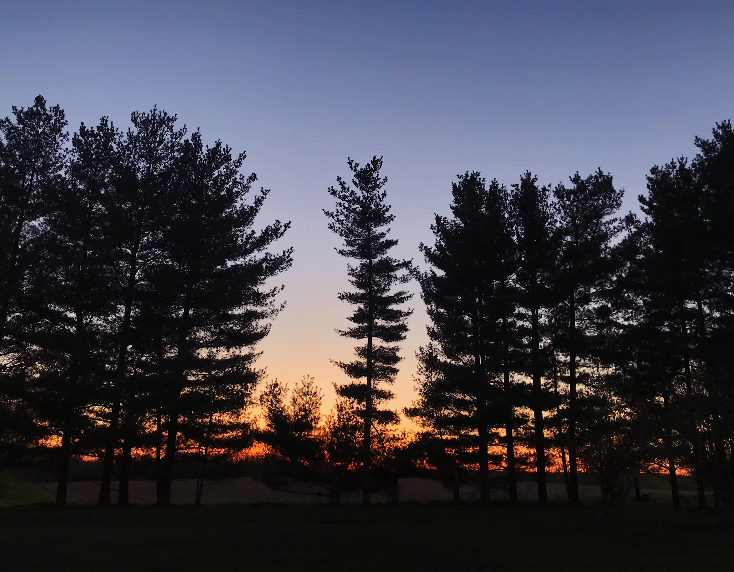  Split sunset. April 20, 2019. iPhone 7. 