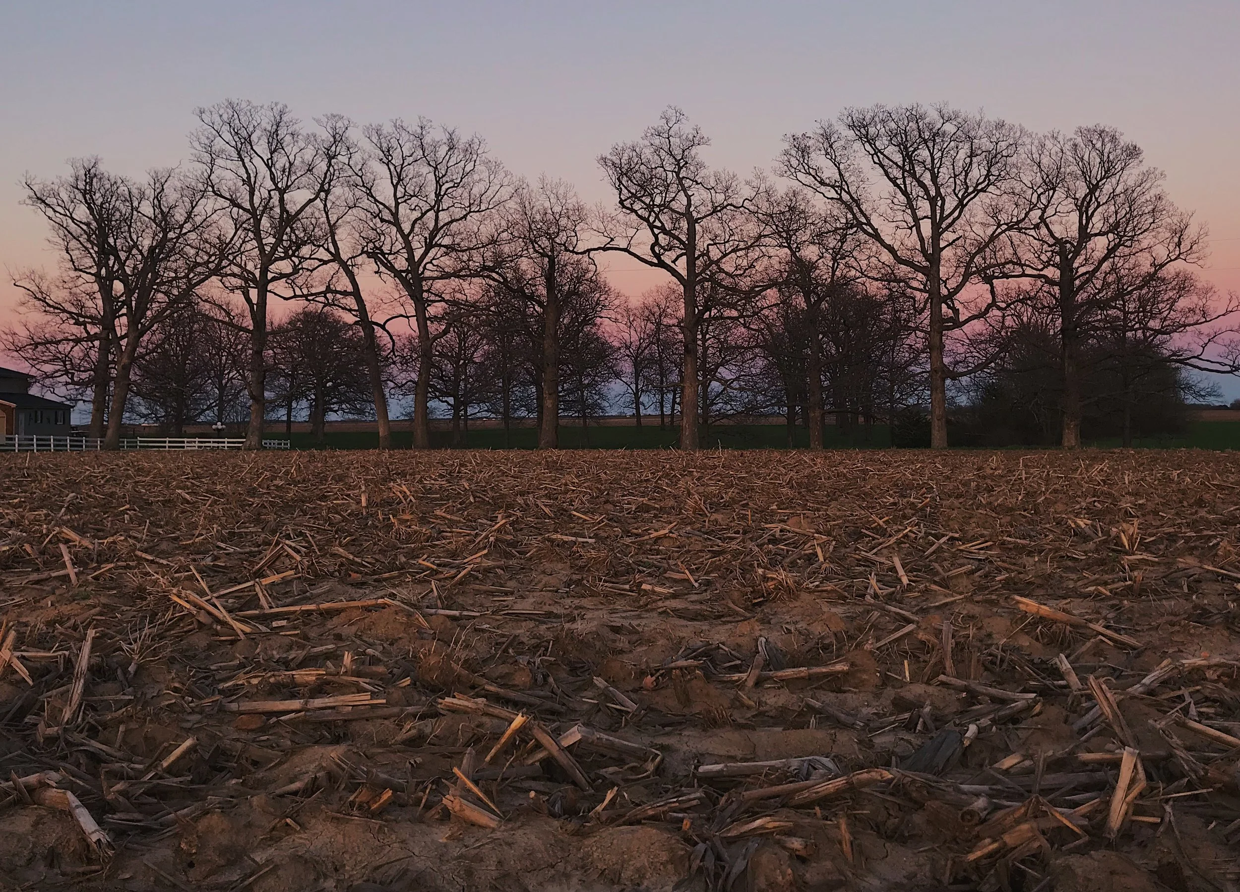  Rural sunset. April 20, 2019. iPhone 7. 