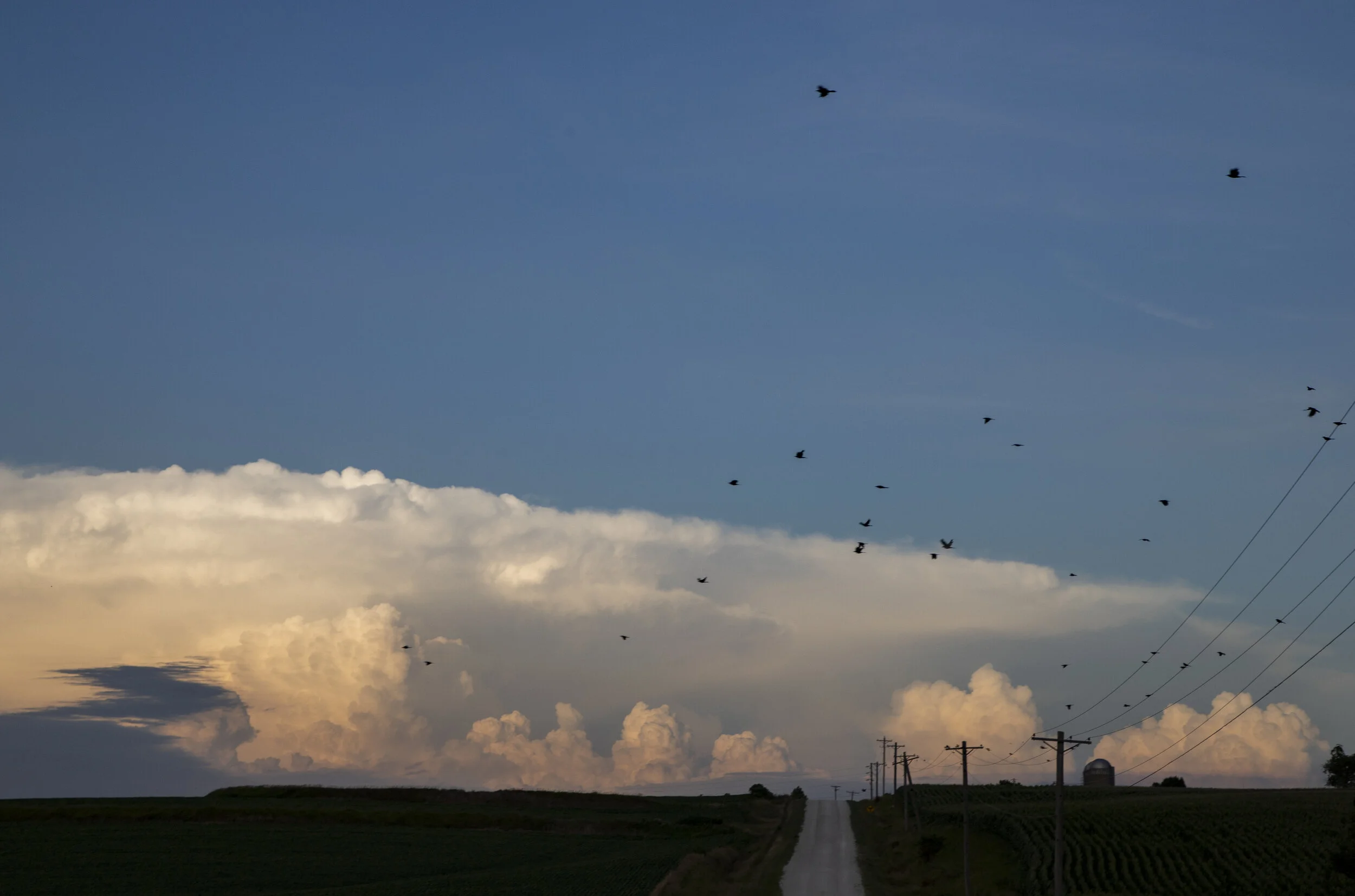  Looking east at sunset, rural Pottawattamie County, Iowa.  