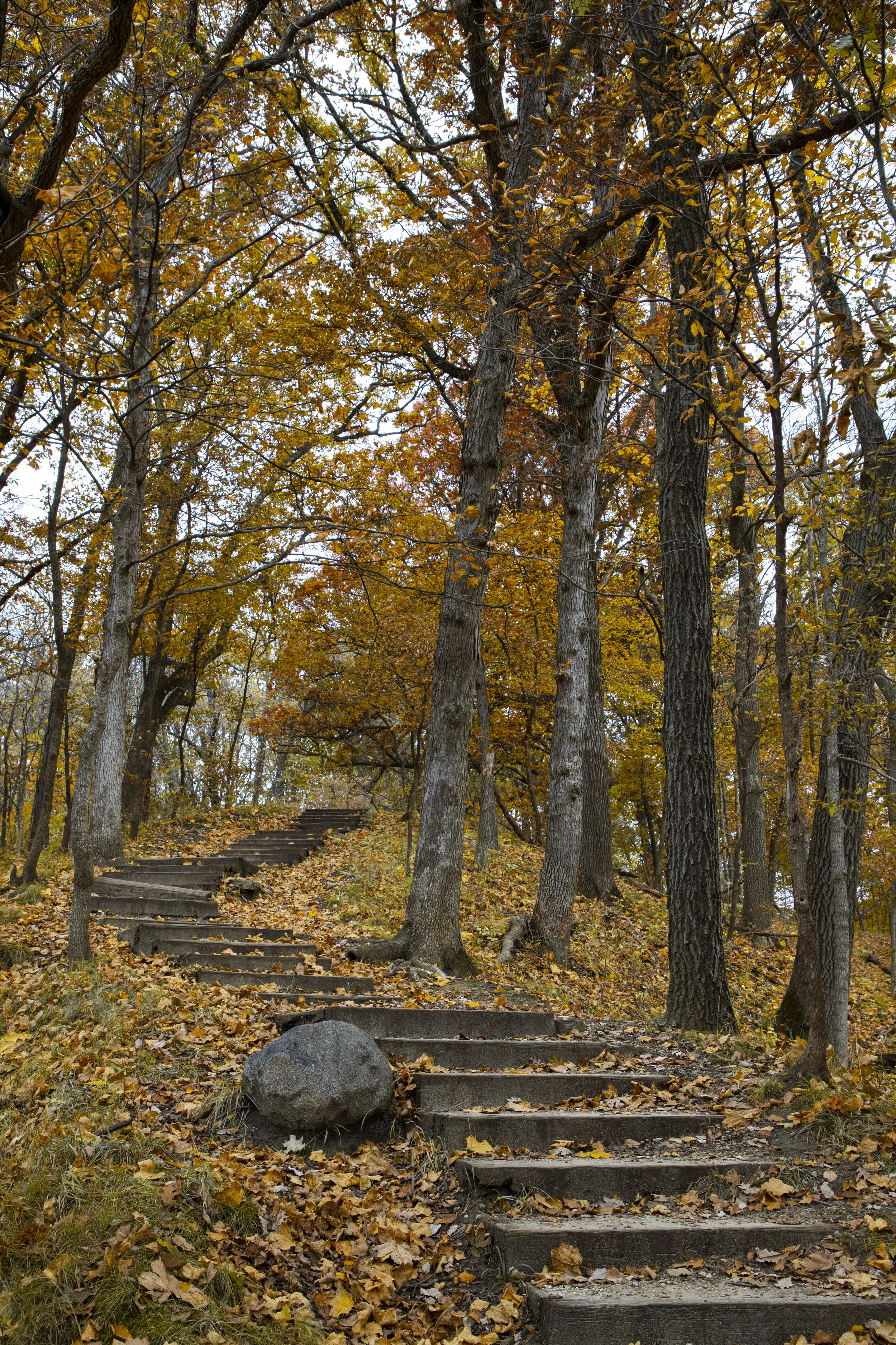  Fall foliage, Ledges State Park, Iowa 