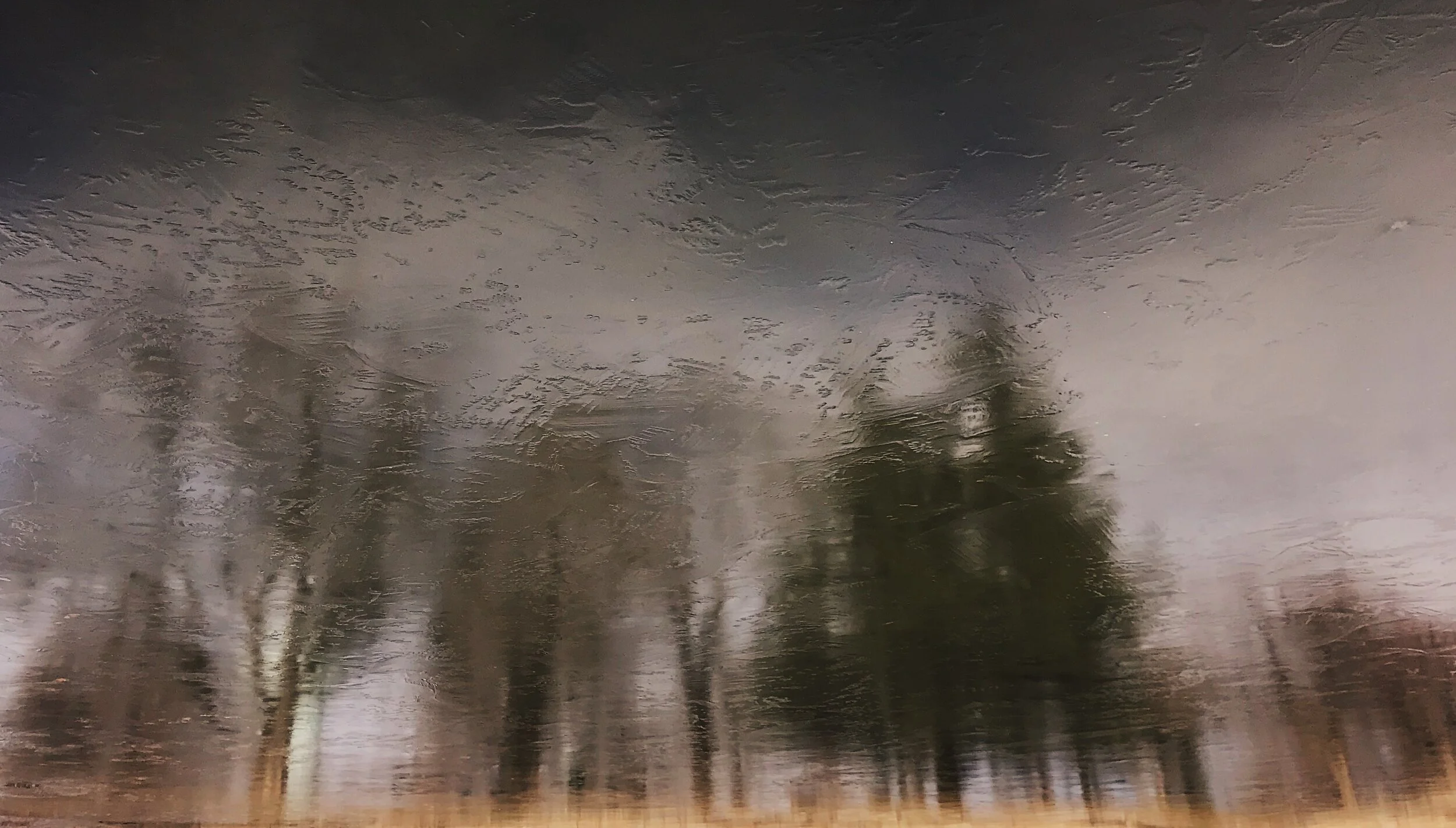  Winter reflection. Jan. 6, 2020. iPhone 7. 