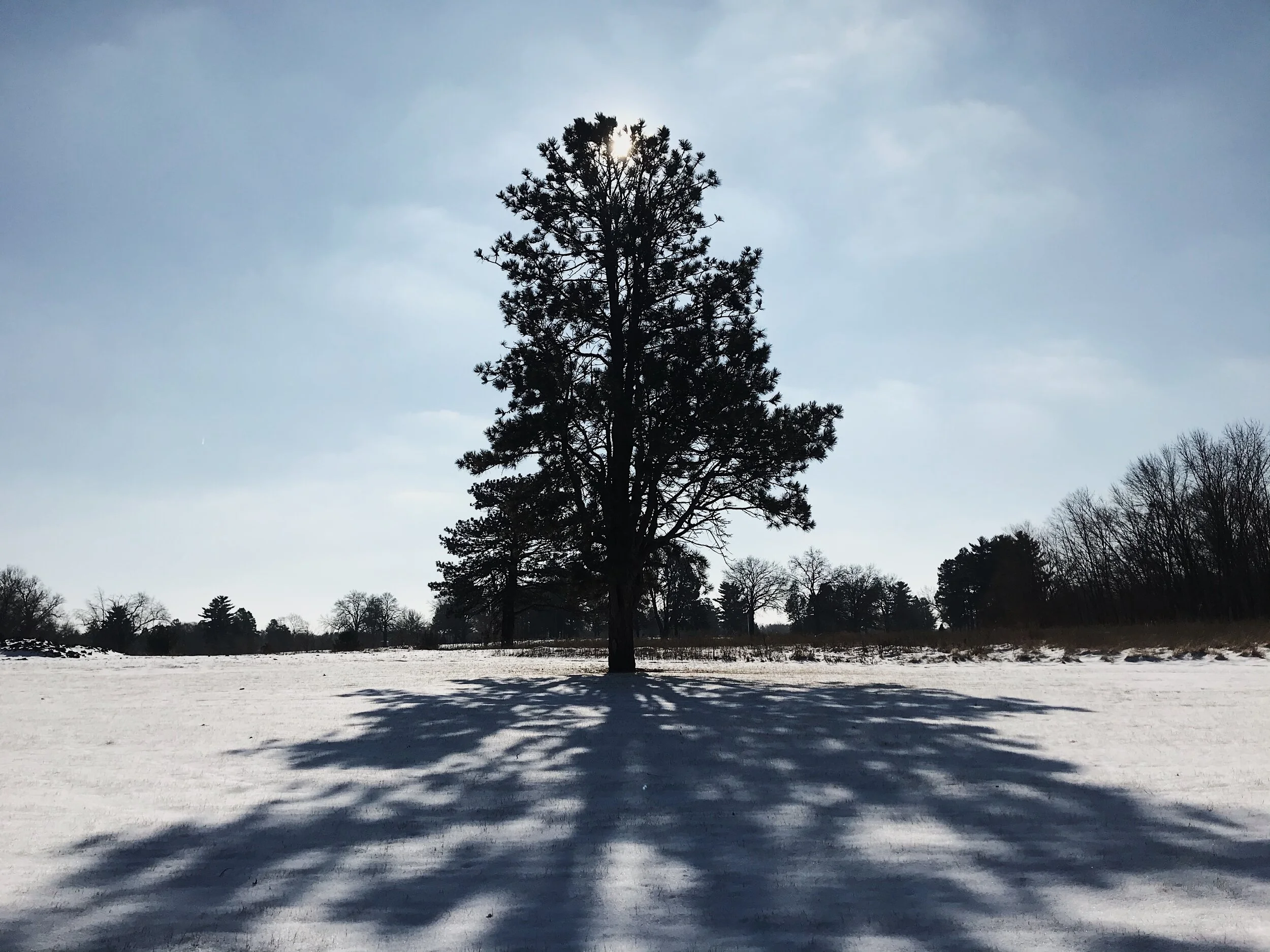  Winter shadow. Jan. 14, 2020. iPhone 7. 