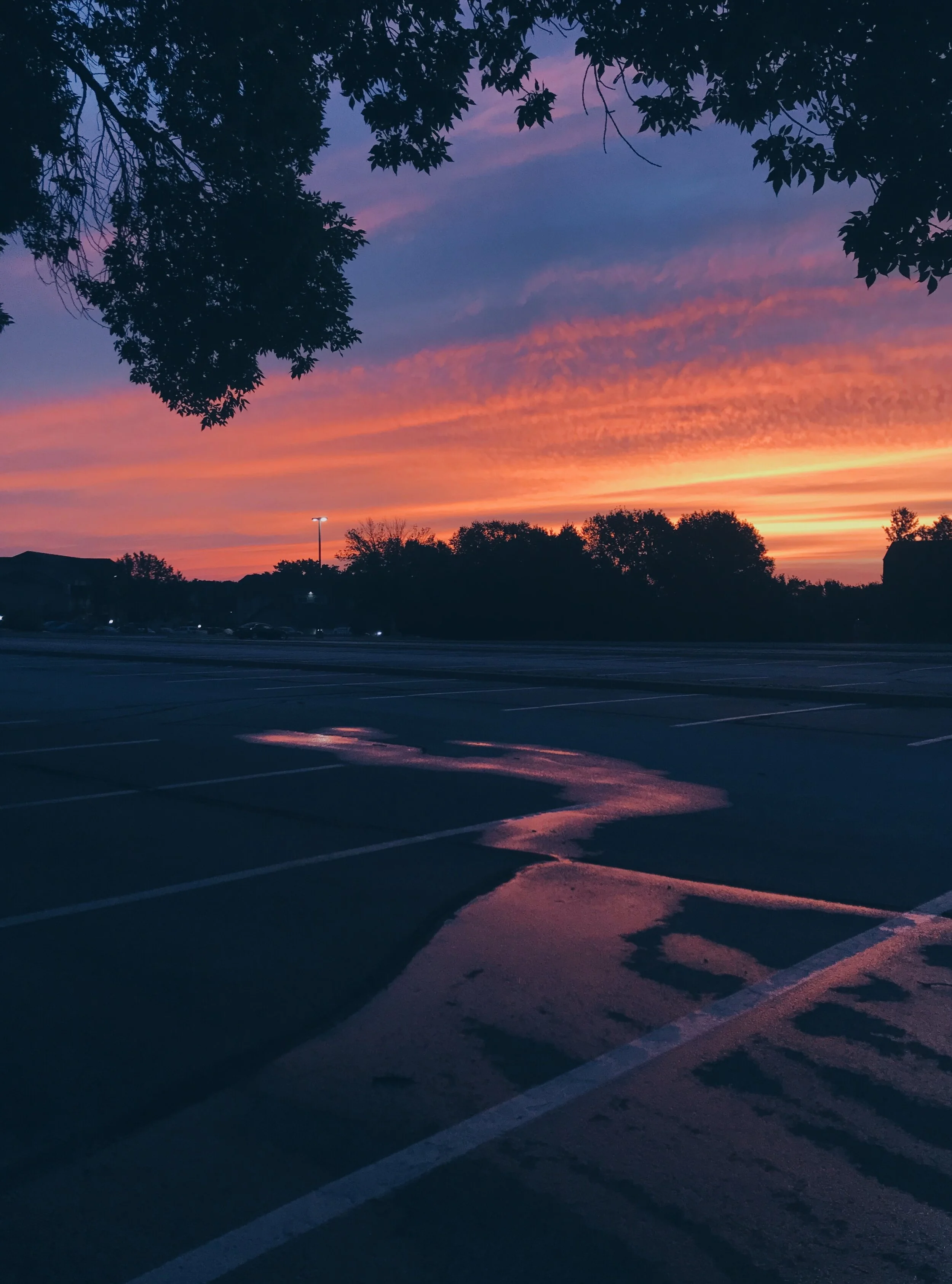  Sunrise. July 25, 2020. iPhone 7. 