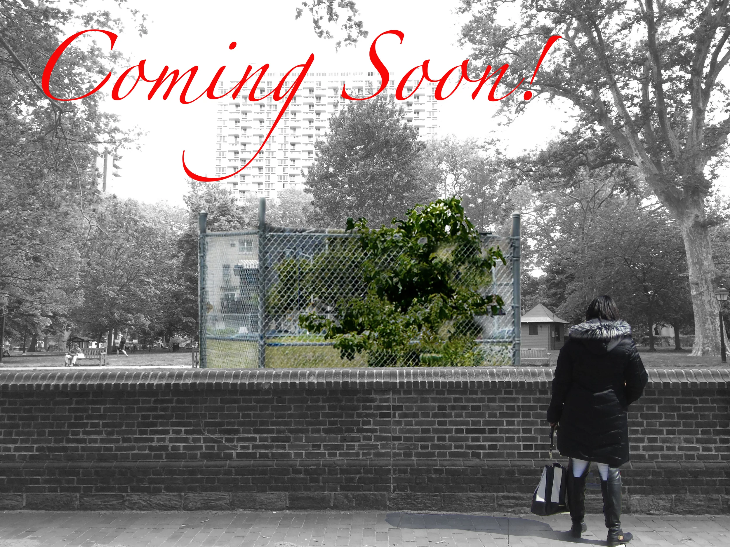 comingsoon.jpg