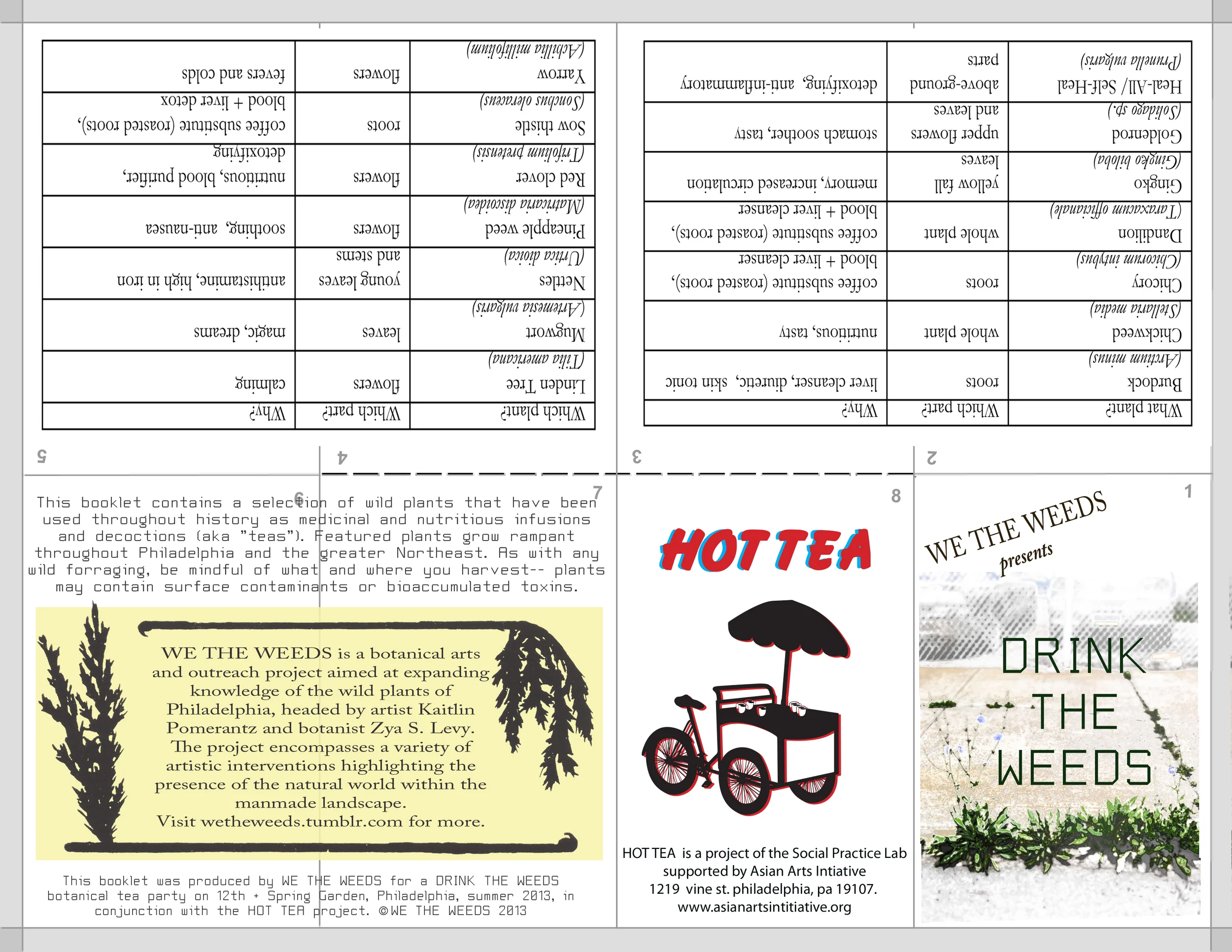 hot tea zine final weeds.jpg