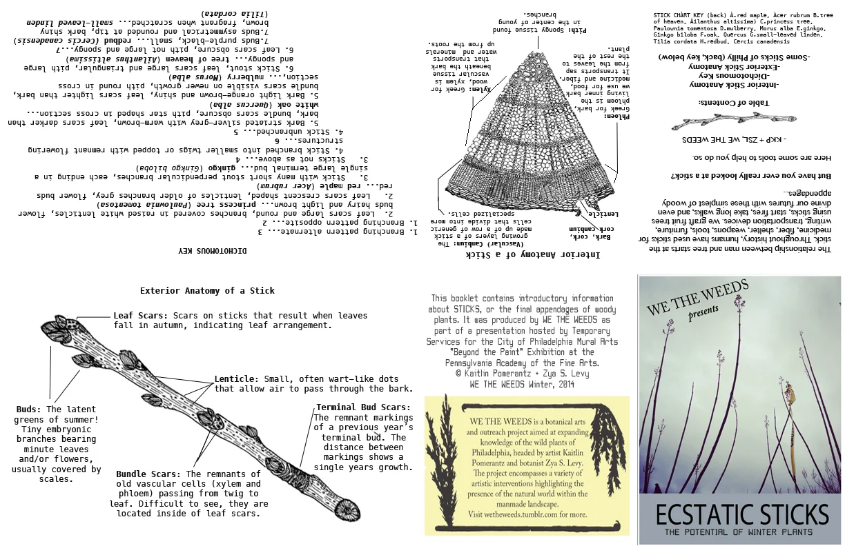STICKS BOOK.jpg