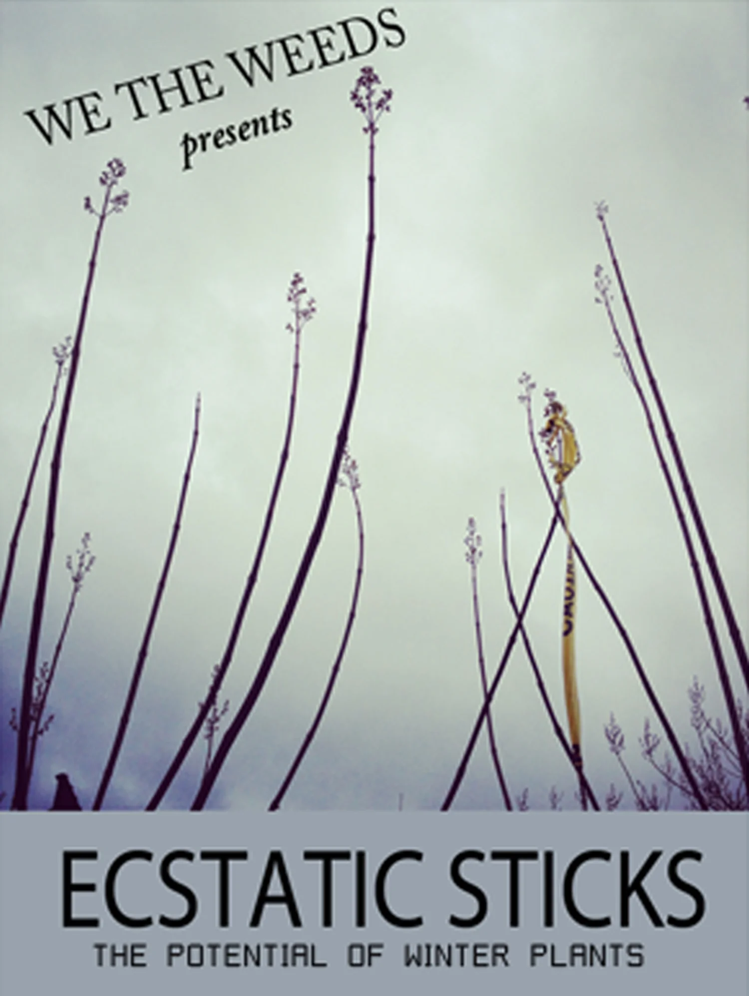 ecstaticstickslogo.jpg