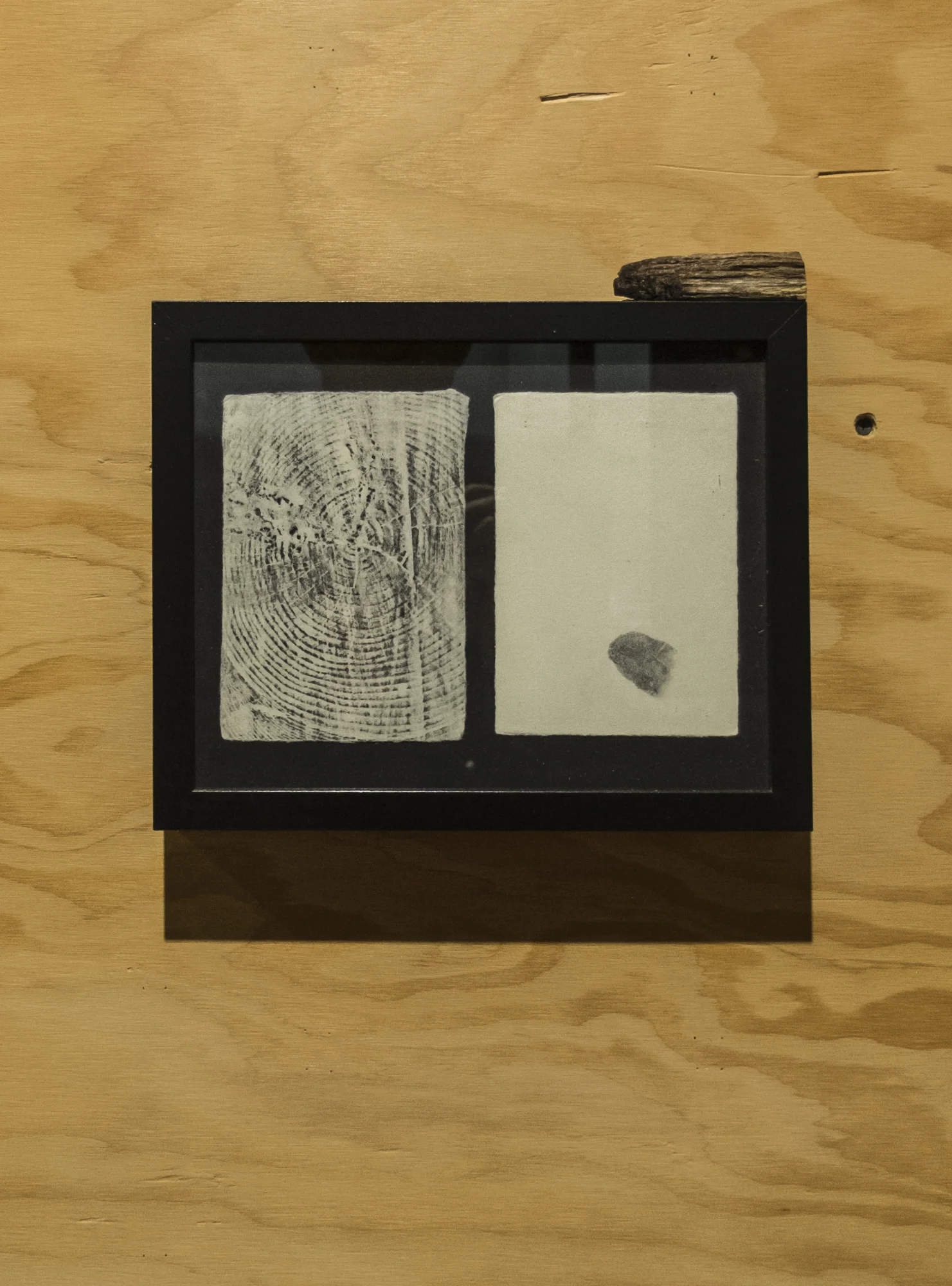 20170217_17-34-33_landarts_cjt.jpg