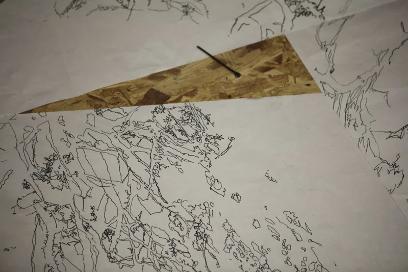 land arts critique-11.jpg