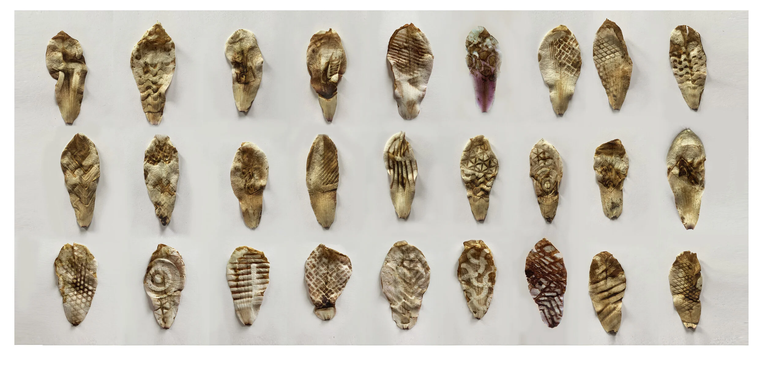 Trodden_full image_small_final version.jpg