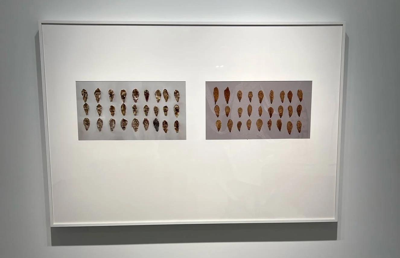 F73C2055-08BE-4CF6-9281-6B7317D0B7B2 2.JPG