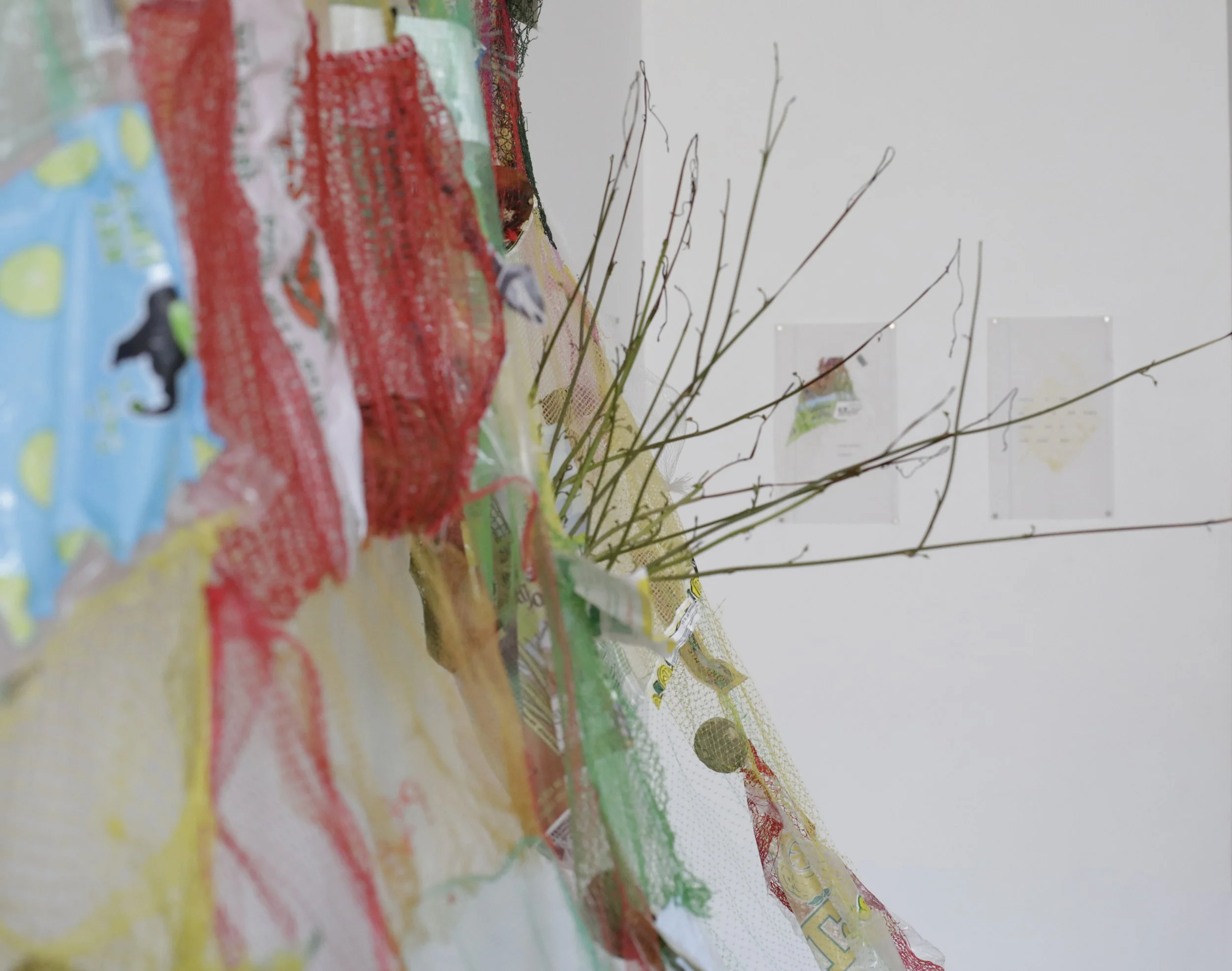 detail1.jpg