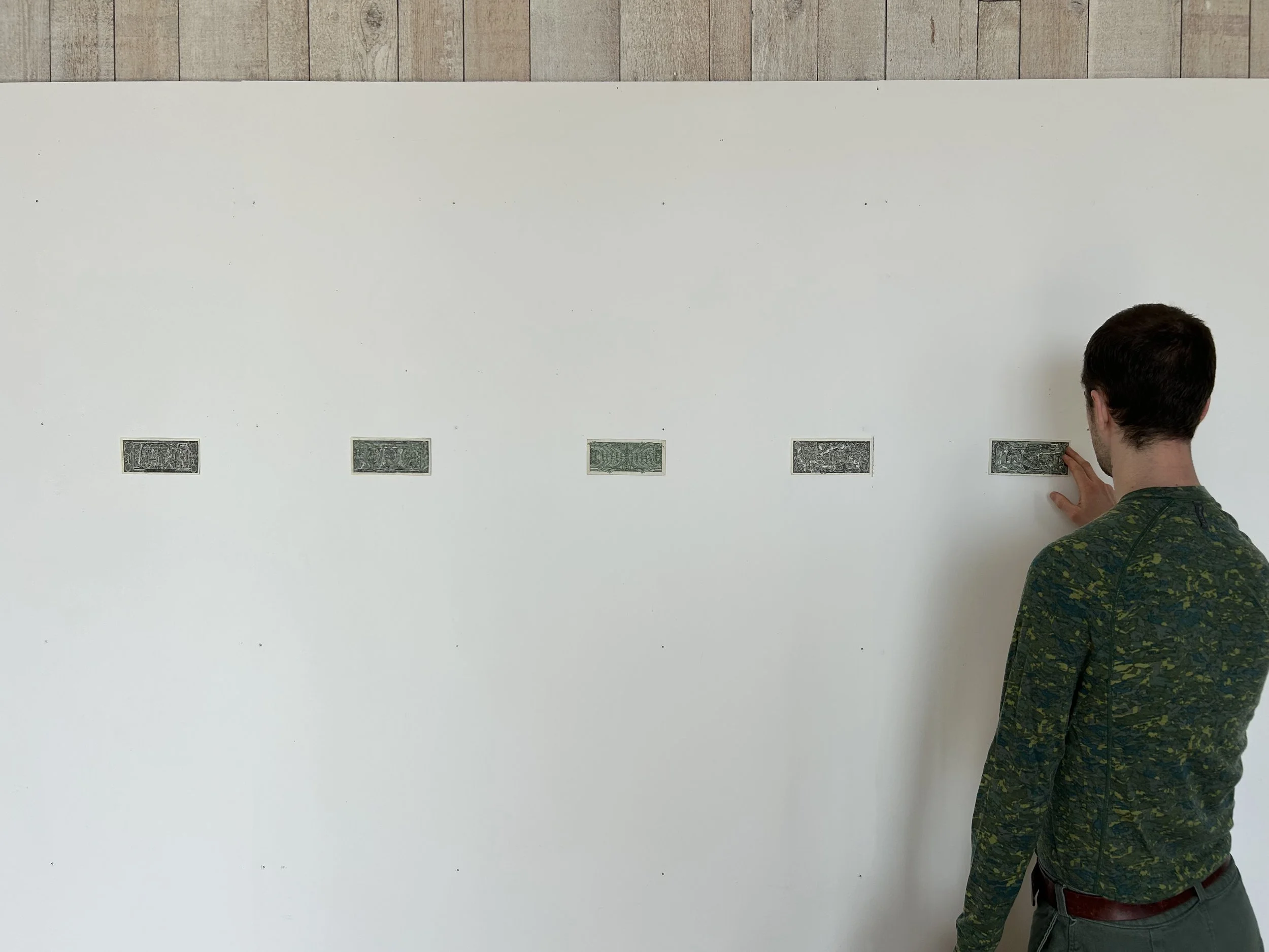 viriditas8_install view.jpg