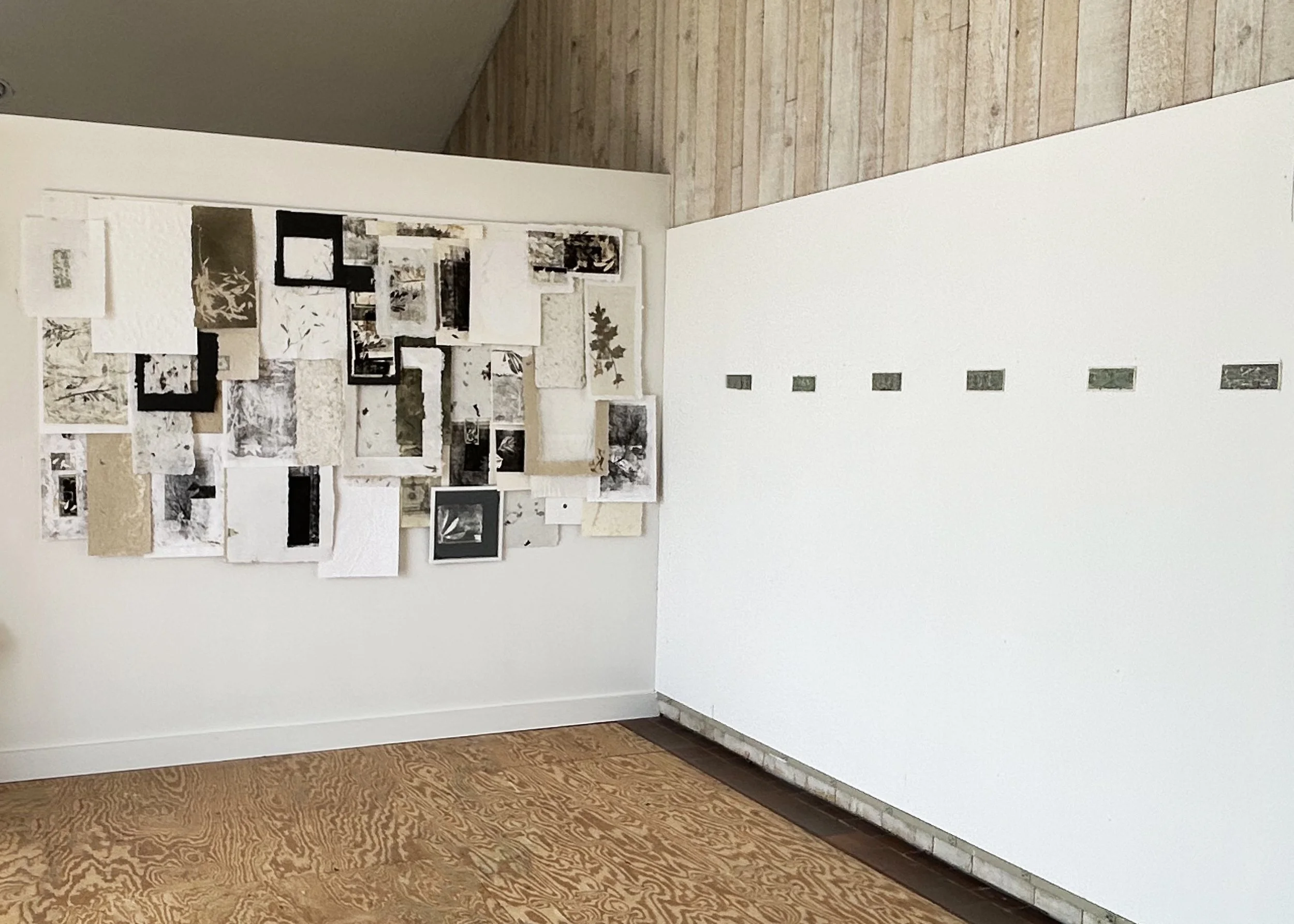 viriditas9_installview2.jpg