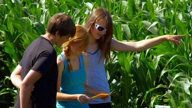 Lacombe-Corn-Maze-Fun1.jpg