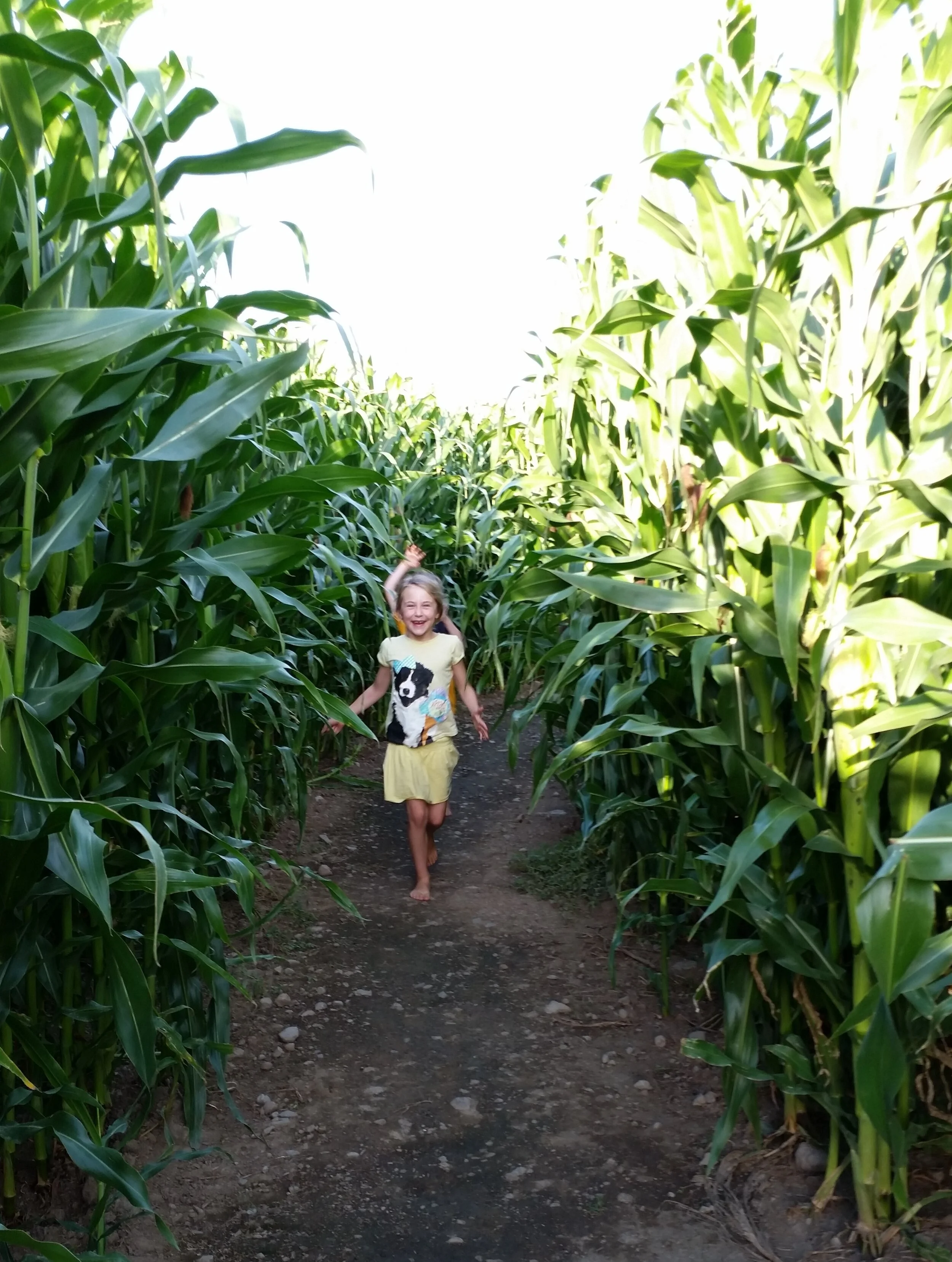 The Kids will have a BLAST!