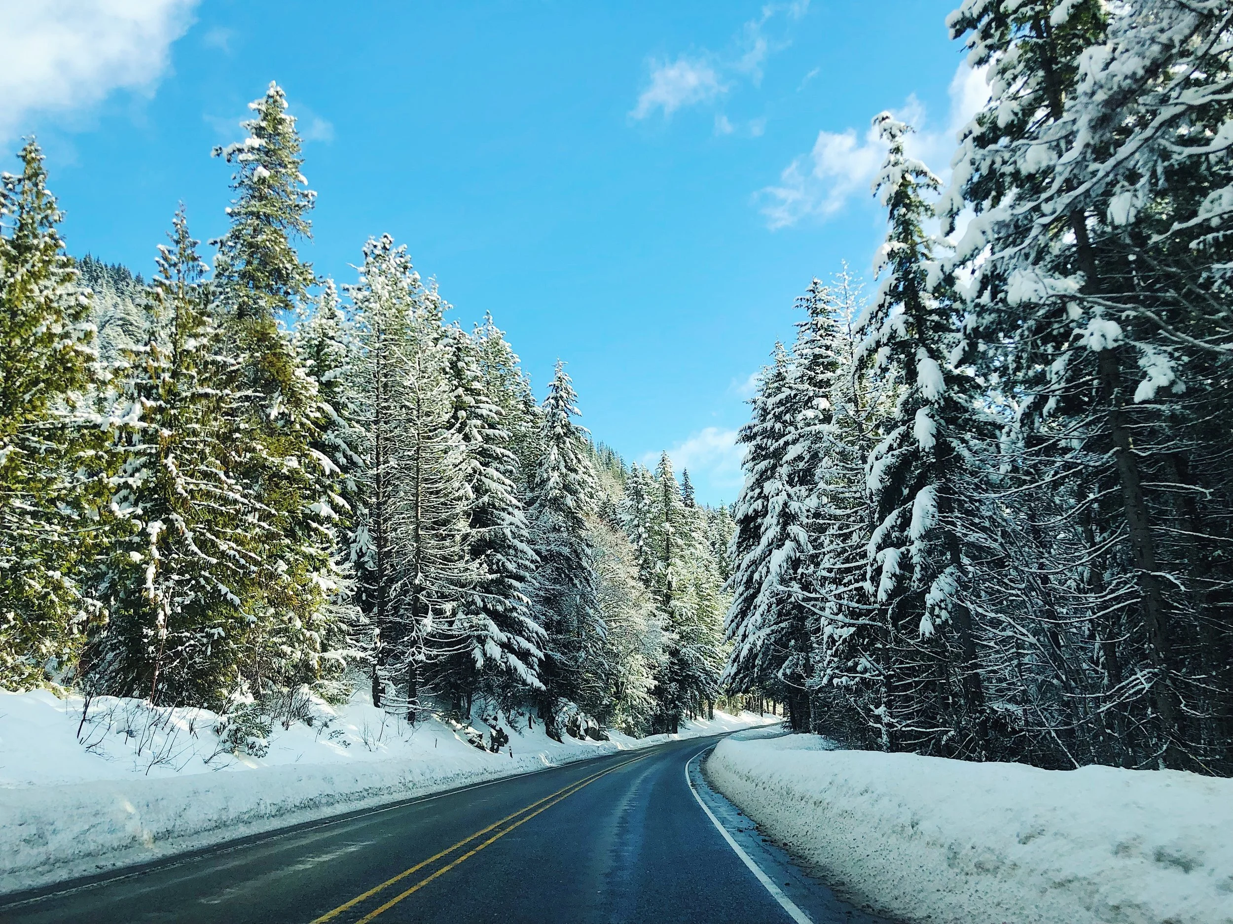 Drive through the Cascades