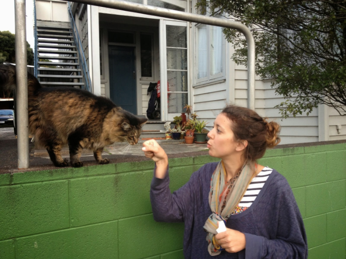 Auckland Cat