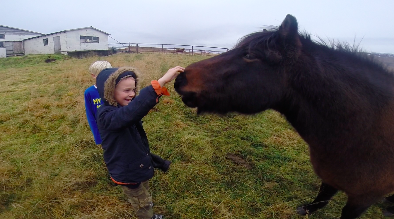 A natural inclination towards horses?