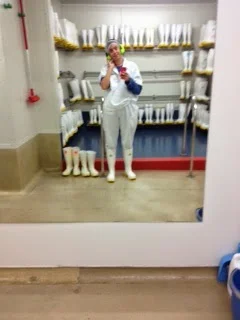 The Mussel Chronicles