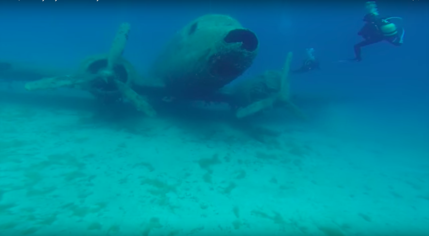 Sunken planes make excellent artificial reefs