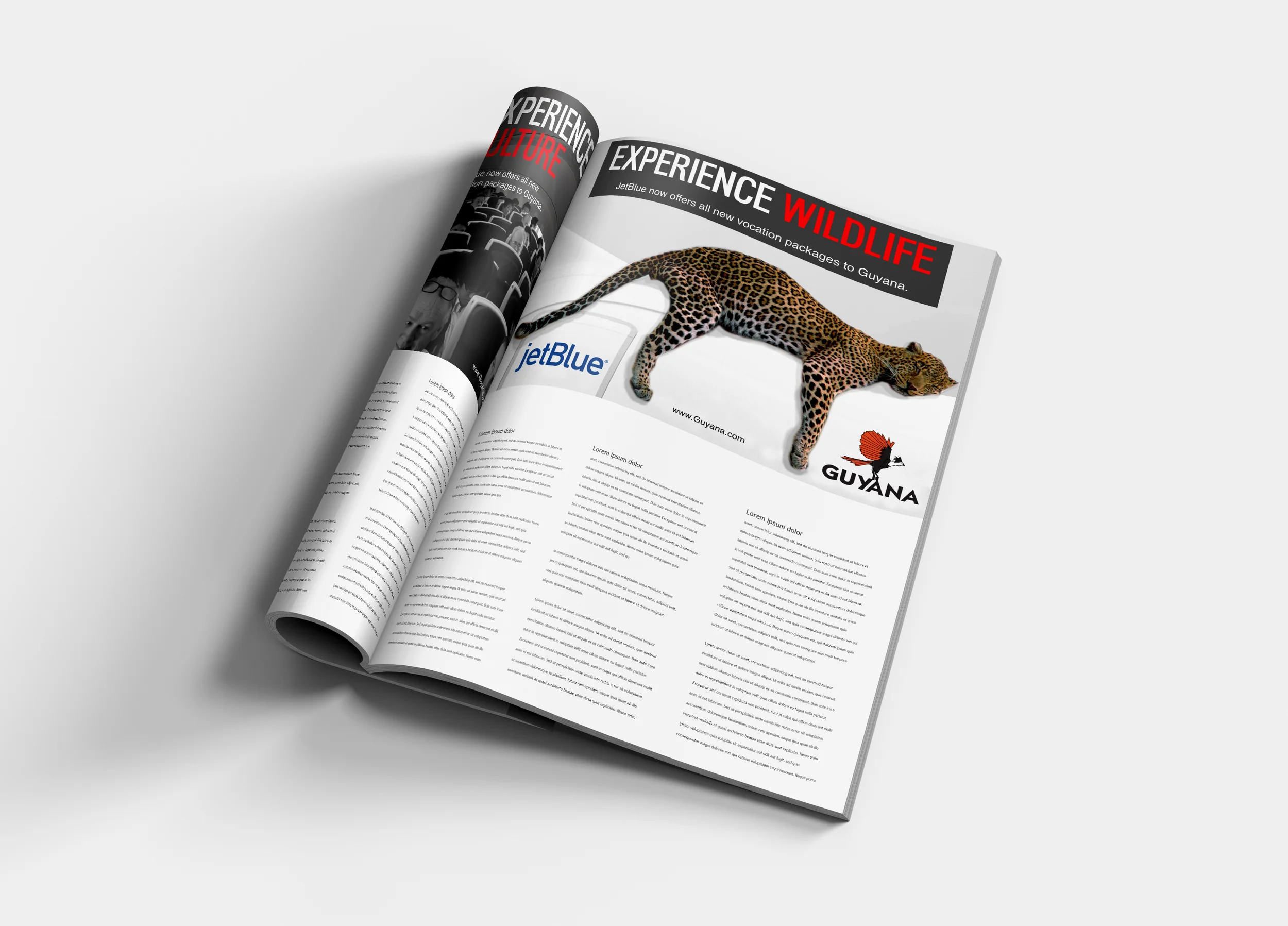 Magazine one page.jpg