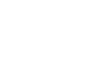 zillow300.png