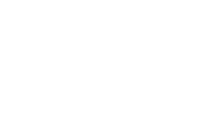 zillow300.png