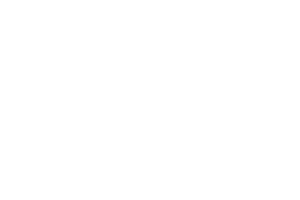 revolusun.png