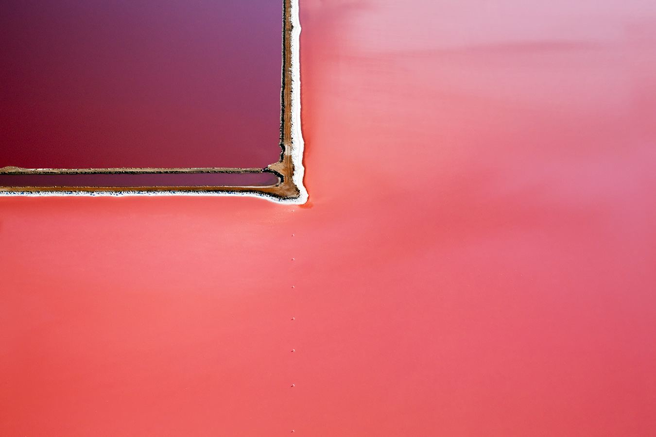 HUTT LAGOON, KALBARRIE FOR ART PROJECT