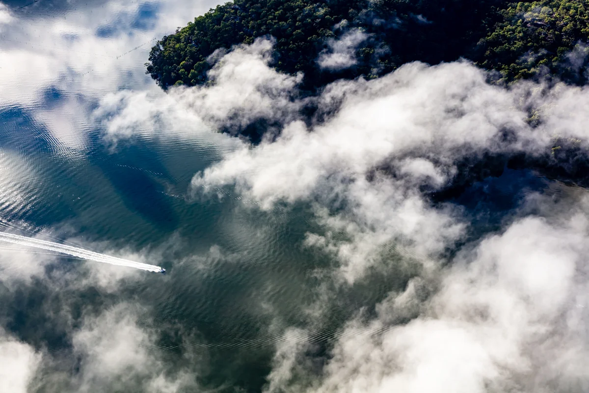 MARRAMARRA NATIONAL PARK FOR ART PHARMACY