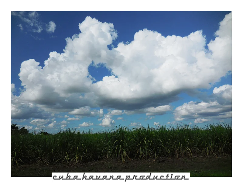 LAS TUNAS landscape .jpg