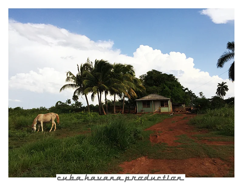 VINALES landscape 32.jpg