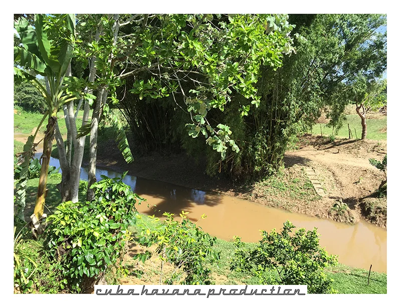 VINALES posto sigari 49.jpg