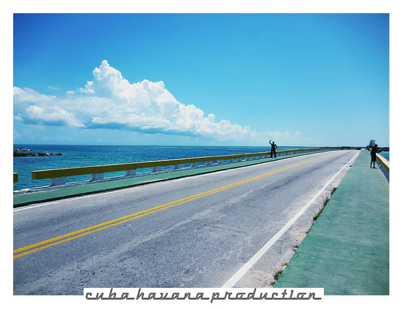 LANDSCAPE 100 CAJO COCO 21.jpg