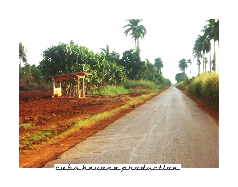 LANDSCAPE 33.jpg