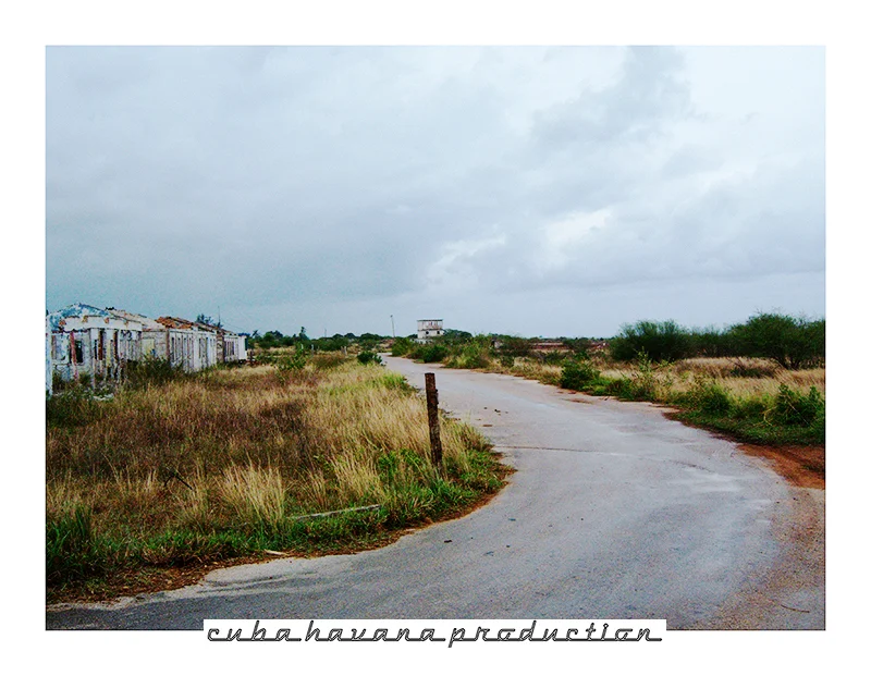 LANDSCAPE 44.jpg