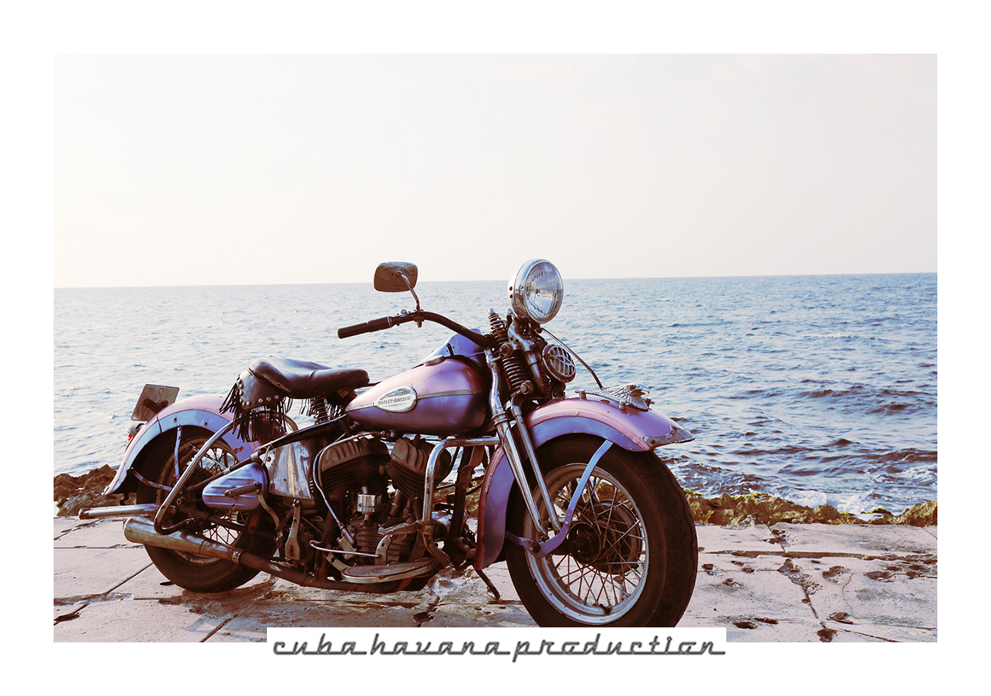 1 LOGO HARLEY DI ALBERTO .jpg