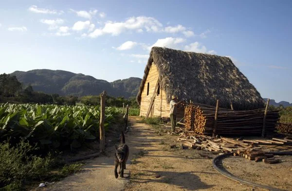 LANDSCAPE Cuba-2013-12-14-at-6.37.15-PM-600x393.jpg