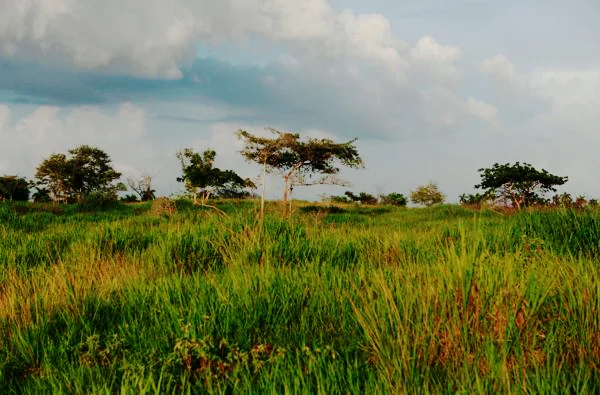 LANDSCAPE Cuba-2013-12-14-at-6.34.50-PM-600x395.jpg