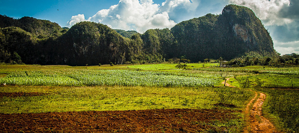 VINALES .jpeg