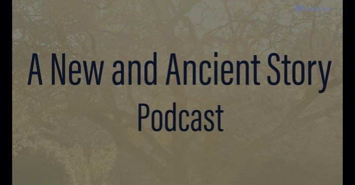 . @charles_eisenstein and Daniel Schmachtenberger Two thinkers I have been intensely interested in for the past couple years sat together for an interview/conversation.
Daniel who looks to approach problems from a systems view and Charles from a more