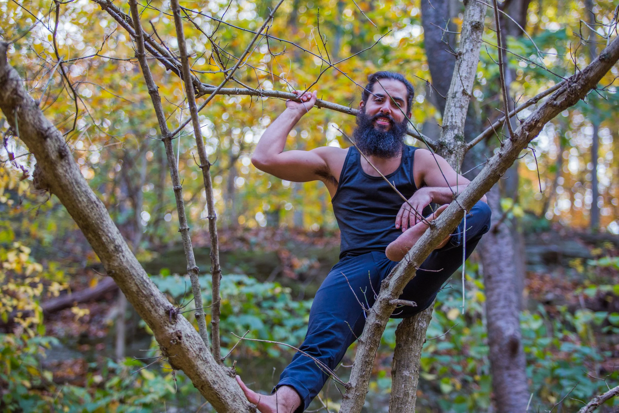 Falling and Transcending (November Newsletter