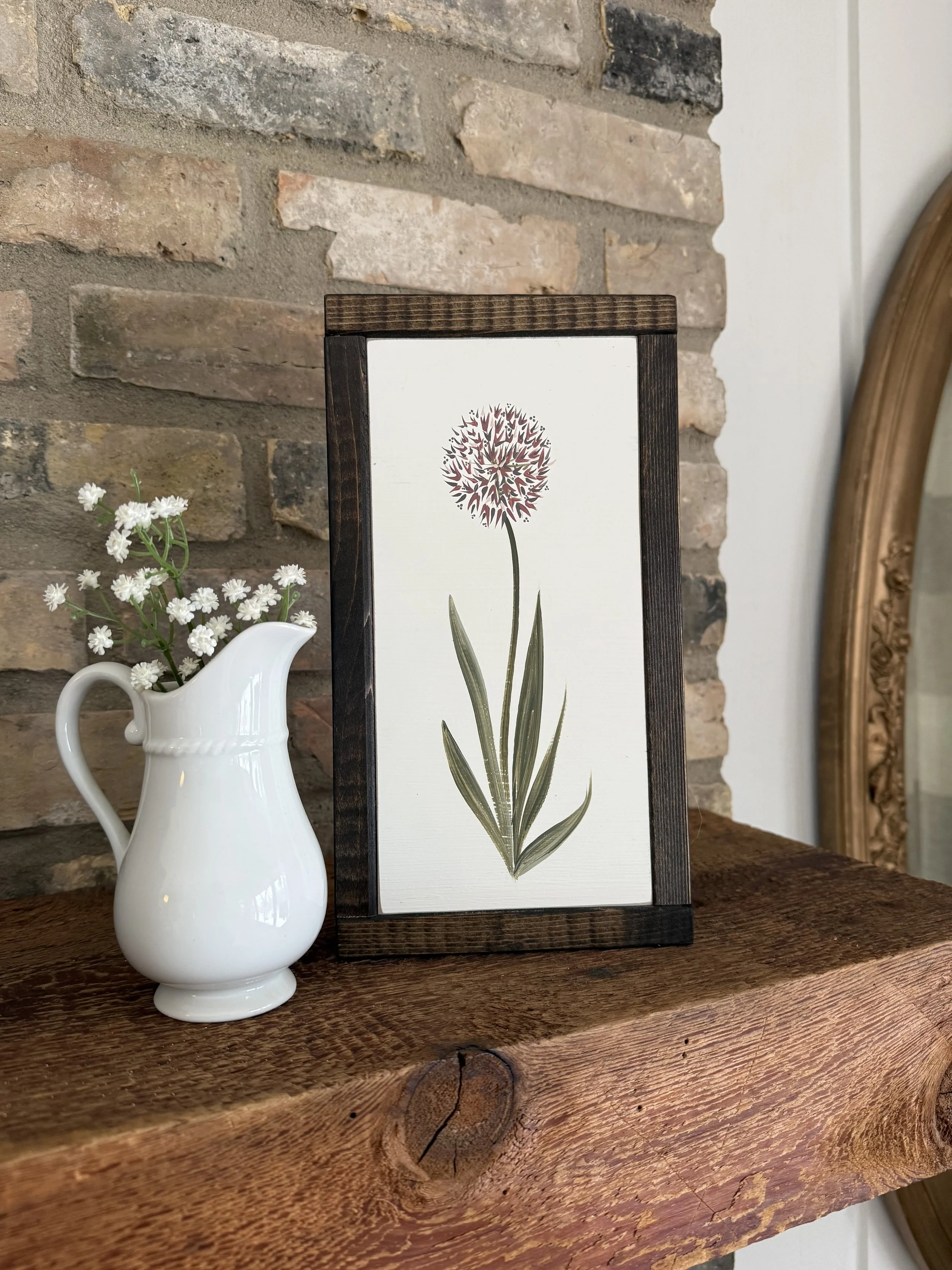 6x11 allium_white_1.jpg