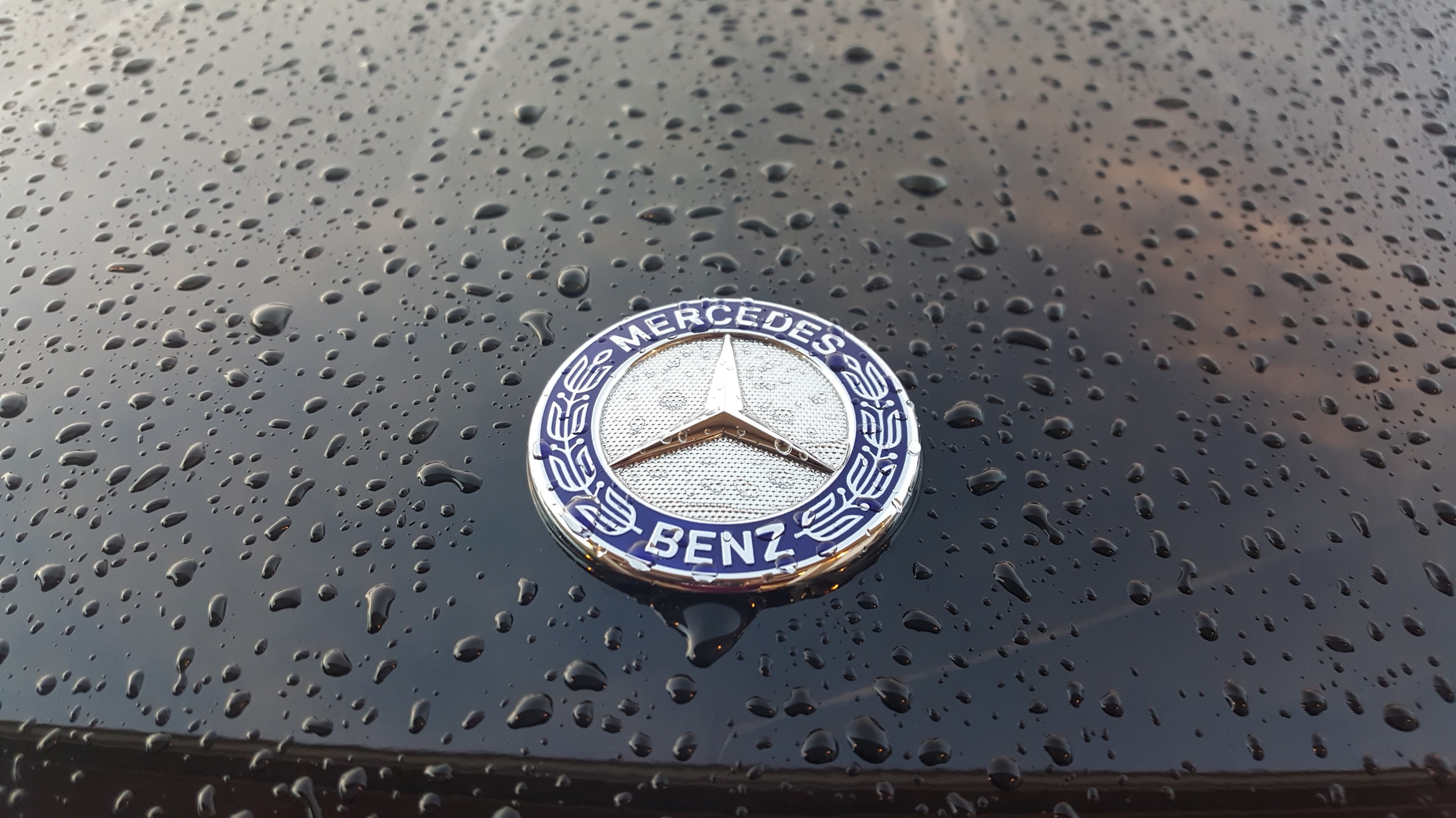 During Wash