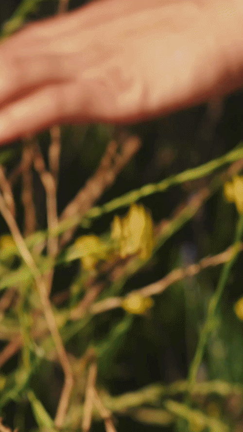 ezgif-2bf6634e305ba70a.gif