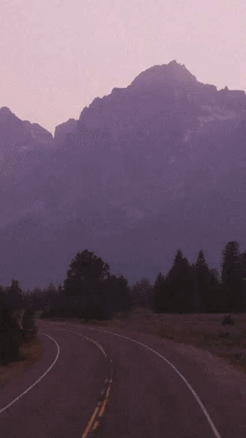 ezgif-81b023bf772bbd46.gif